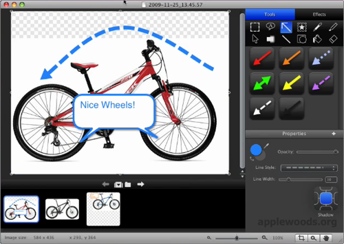 snagit4mac_window.png